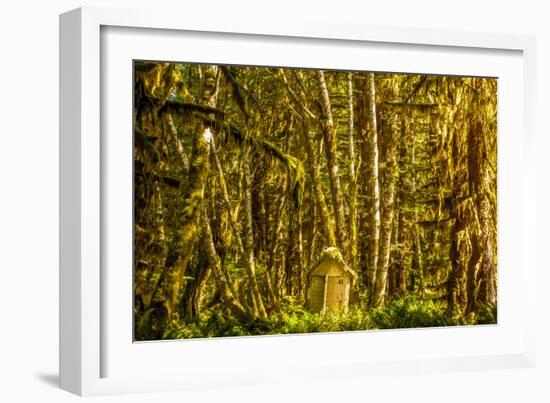 Olympic National Park, Washington: Hoh Rainforest-Ian Shive-Framed Photographic Print