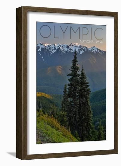 Olympic National Park, Washington - Hurricane Ridge-Lantern Press-Framed Art Print
