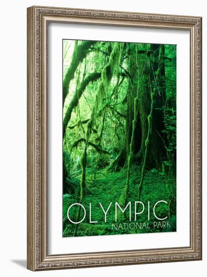 Olympic National Park, Washington - Rainforest-Lantern Press-Framed Art Print