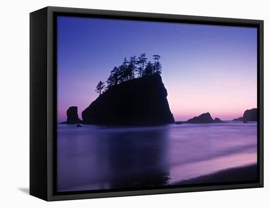 Olympic National Park Washington State Usa-Peter Adams-Framed Premier Image Canvas