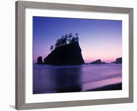 Olympic National Park Washington State Usa-Peter Adams-Framed Photographic Print
