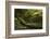 Olympic National Park-Ken Archer-Framed Photographic Print