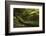 Olympic National Park-Ken Archer-Framed Photographic Print