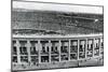 Olympic Stadium, Berlin, 1936-null-Mounted Giclee Print