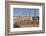 Olympic stadium Estadi Olimpic Lluis Companys, Montjuic, Barcelona, Catalonia, Spain, Europe-Markus Lange-Framed Photographic Print