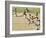 Olympics, 1932, Men 100M-null-Framed Photographic Print