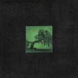 Bonsai Cave Tree-OM-Framed Giclee Print
