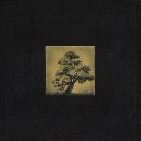 Bonsai Cave Tree-OM-Framed Premier Image Canvas