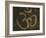 Om Grunge Symbol-pashabo-Framed Art Print