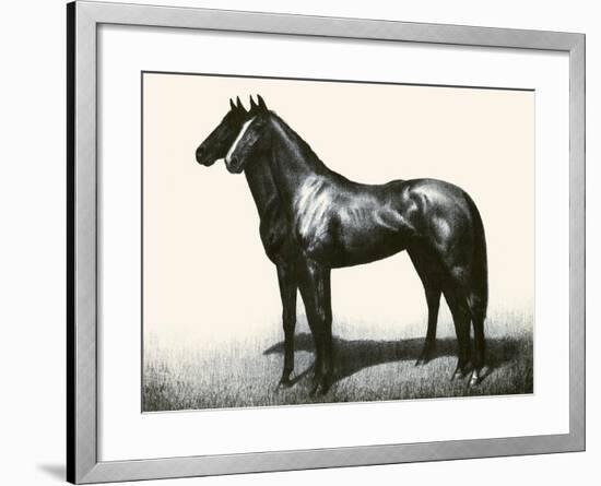 Omaha And Flares; A Brother Act-C.W. Anderson-Framed Art Print