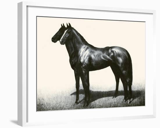 Omaha And Flares; A Brother Act-C.W. Anderson-Framed Art Print