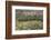 Oman, Ad Dakhiliyah Governorate-Nigel Pavitt-Framed Photographic Print