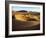 Oman, Empty Quarter; the Martian-Like Landscape of the Empty Quarter Dunes;-Niels Van Gijn-Framed Photographic Print