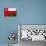 Oman Flag Design with Wood Patterning - Flags of the World Series-Philippe Hugonnard-Art Print displayed on a wall