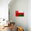 Oman Flag Design with Wood Patterning - Flags of the World Series-Philippe Hugonnard-Premium Giclee Print displayed on a wall
