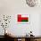 Oman Flag Design with Wood Patterning - Flags of the World Series-Philippe Hugonnard-Framed Premium Giclee Print displayed on a wall