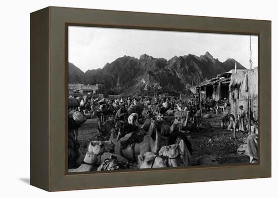 Oman, Mattrah-null-Framed Premier Image Canvas