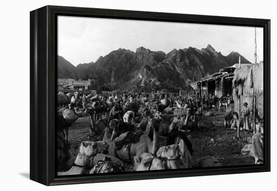 Oman, Mattrah-null-Framed Premier Image Canvas