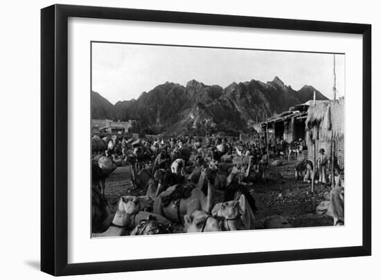 Oman, Mattrah-null-Framed Photographic Print