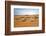 Oman, Wahiba Sands. Camels Belonging to Bedouins Cross Sand Dunes in Wahiba Sands.-Nigel Pavitt-Framed Photographic Print