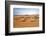 Oman, Wahiba Sands. Camels Belonging to Bedouins Cross Sand Dunes in Wahiba Sands.-Nigel Pavitt-Framed Photographic Print