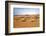 Oman, Wahiba Sands. Camels Belonging to Bedouins Cross Sand Dunes in Wahiba Sands.-Nigel Pavitt-Framed Photographic Print