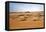 Oman, Wahiba Sands. Camels Belonging to Bedouins Cross Sand Dunes in Wahiba Sands.-Nigel Pavitt-Framed Premier Image Canvas