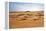 Oman, Wahiba Sands. Camels Belonging to Bedouins Cross Sand Dunes in Wahiba Sands.-Nigel Pavitt-Framed Premier Image Canvas