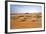 Oman, Wahiba Sands. Camels Belonging to Bedouins Cross Sand Dunes in Wahiba Sands.-Nigel Pavitt-Framed Photographic Print