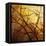 Ombre Branches-James McMasters-Framed Stretched Canvas