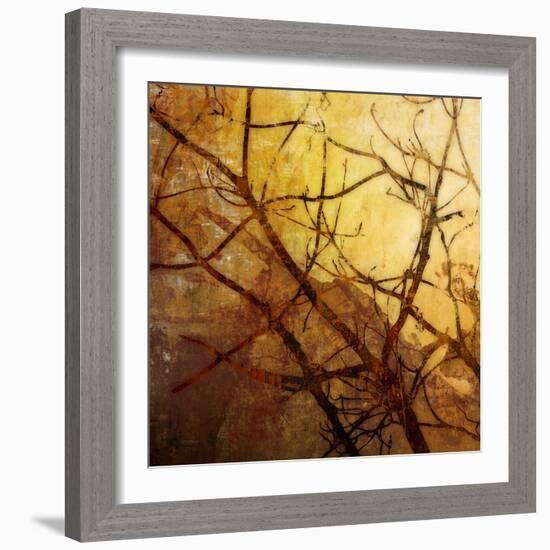 Ombre Branches-James McMasters-Framed Art Print