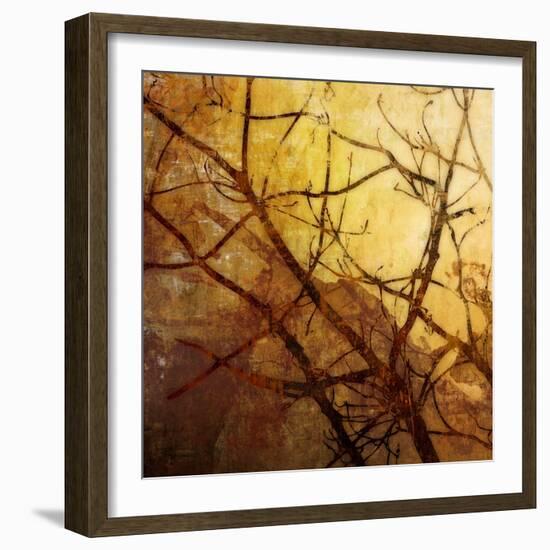 Ombre Branches-James McMasters-Framed Art Print