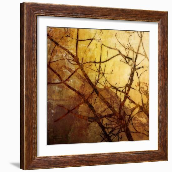 Ombre Branches-James McMasters-Framed Art Print