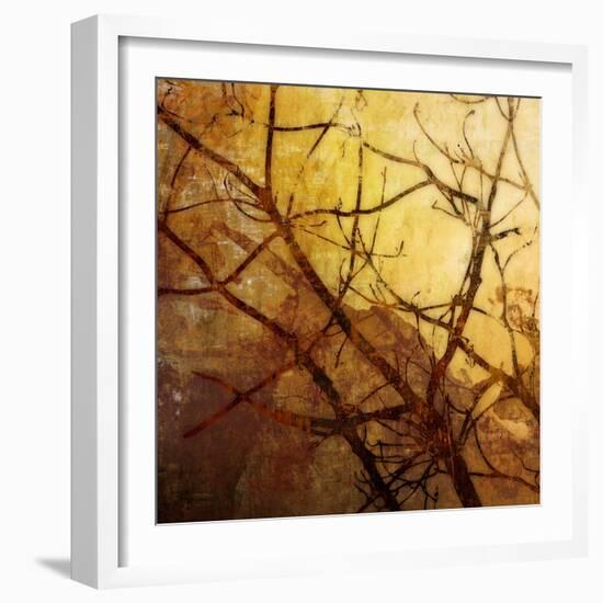Ombre Branches-James McMasters-Framed Art Print