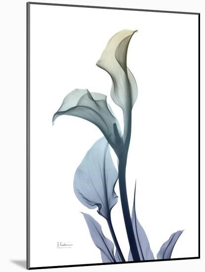 Ombre Expression Calla Lily 1-Albert Koetsier-Mounted Photographic Print