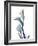 Ombre Expression Calla Lily 1-Albert Koetsier-Framed Photographic Print