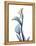 Ombre Expression Calla Lily 1-Albert Koetsier-Framed Premier Image Canvas