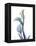 Ombre Expression Calla Lily 1-Albert Koetsier-Framed Premier Image Canvas