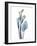 Ombre Expression Calla Lily 2-Albert Koetsier-Framed Photographic Print