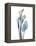 Ombre Expression Calla Lily 2-Albert Koetsier-Framed Premier Image Canvas