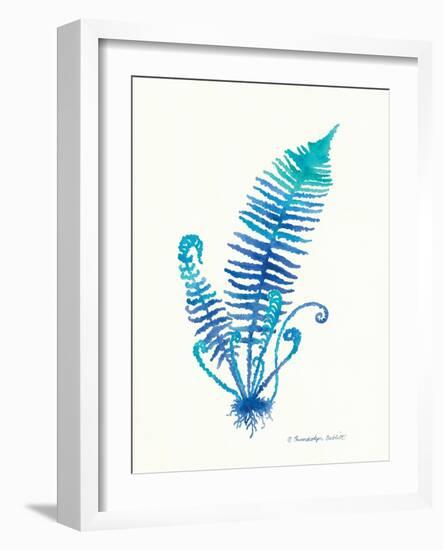 Ombre Fern II-Gwendolyn Babbitt-Framed Art Print