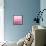 Ombre Pink Blush II-Allie Corbin-Framed Stretched Canvas displayed on a wall