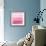 Ombre Pink Blush II-Allie Corbin-Framed Premium Giclee Print displayed on a wall