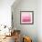 Ombre Pink Blush II-Allie Corbin-Framed Premium Giclee Print displayed on a wall