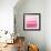 Ombre Pink Blush II-Allie Corbin-Framed Art Print displayed on a wall