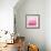 Ombre Pink Blush II-Allie Corbin-Framed Art Print displayed on a wall