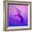 Ombre Unicorn 2-Kimberly Allen-Framed Art Print