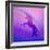 Ombre Unicorn 2-Kimberly Allen-Framed Art Print