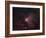 Omega Nebula-Stocktrek Images-Framed Photographic Print