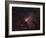 Omega Nebula-Stocktrek Images-Framed Photographic Print